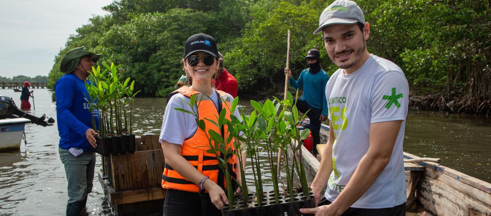 Imagen de la siembra.