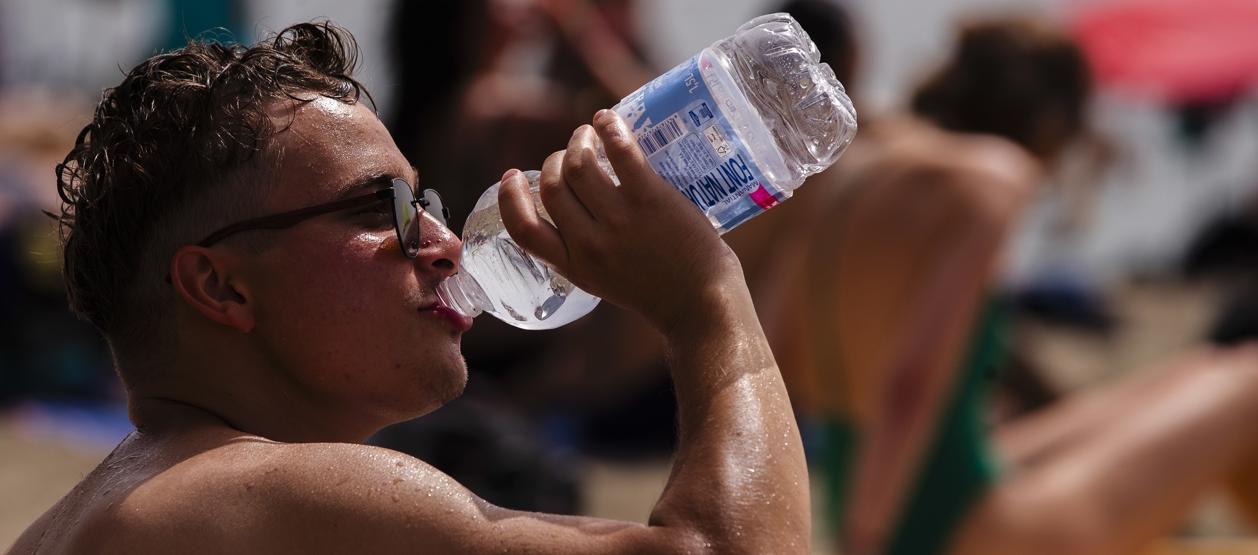 Imagen de referencia.