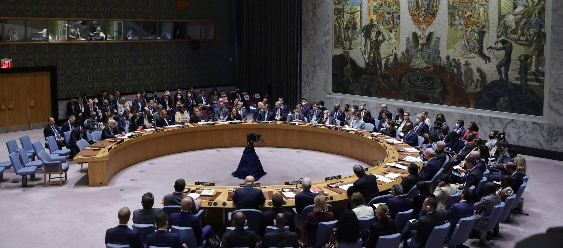 Consejo de Seguridad de la ONU. 