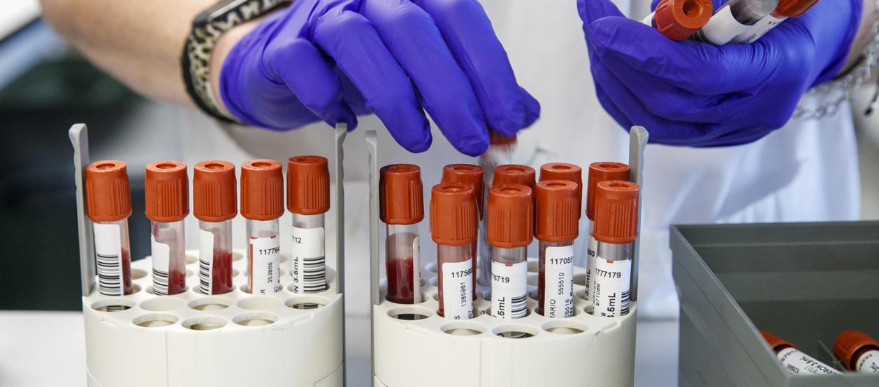 Imagen de referencia.