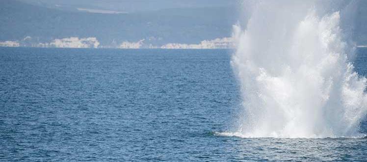 Minas en el Mar Negro.