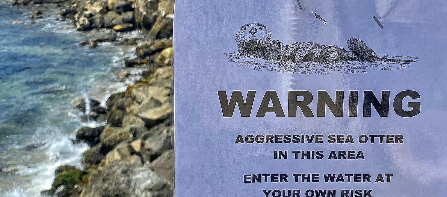 La nutria de cinco años ataca a las personas en la playa.