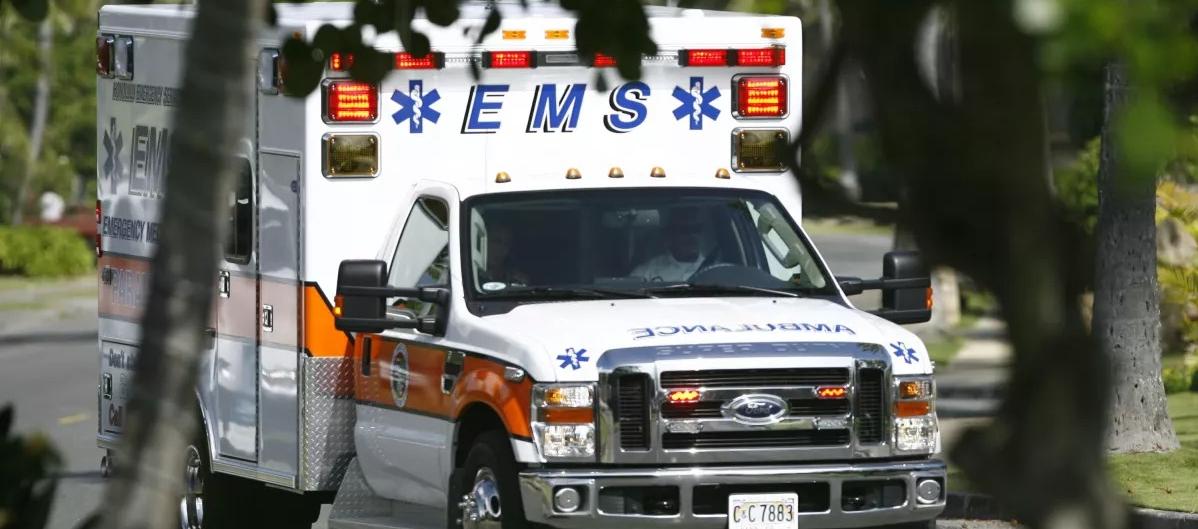 Imagen de referencia.