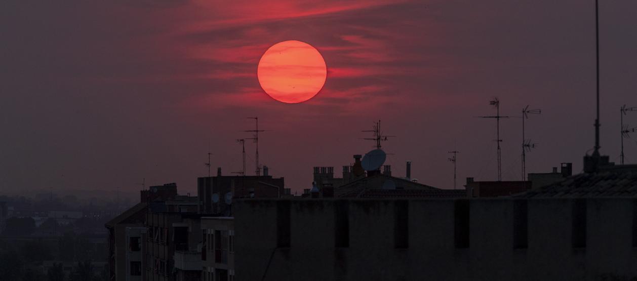 Imagen de referencia.