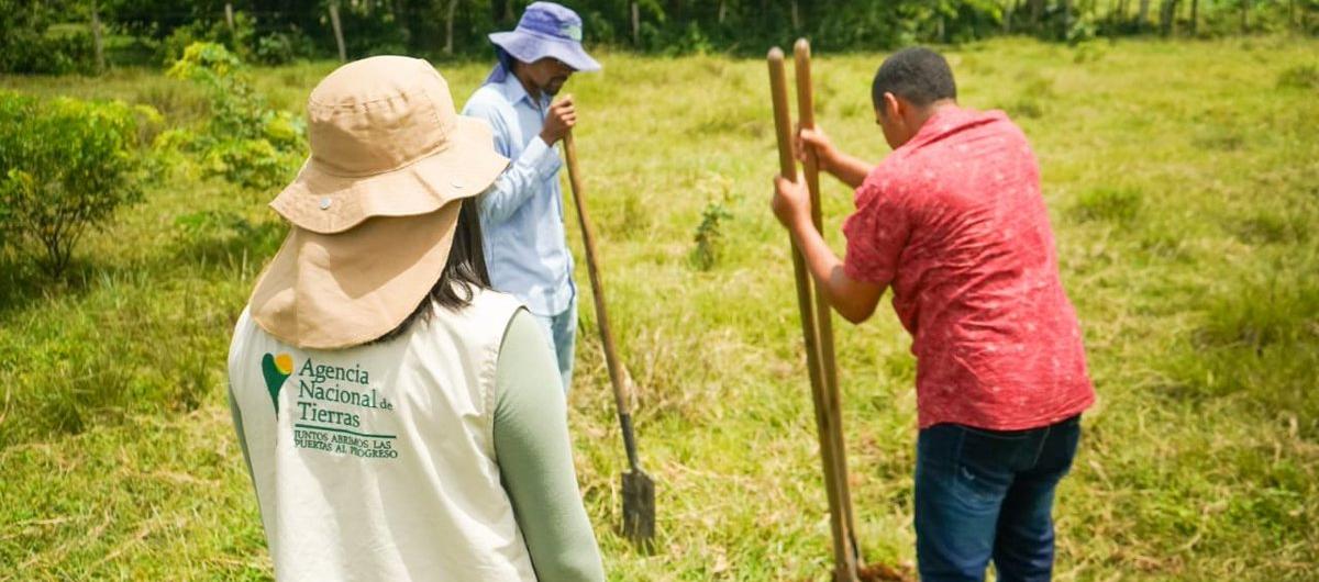 Imagen de referencia.