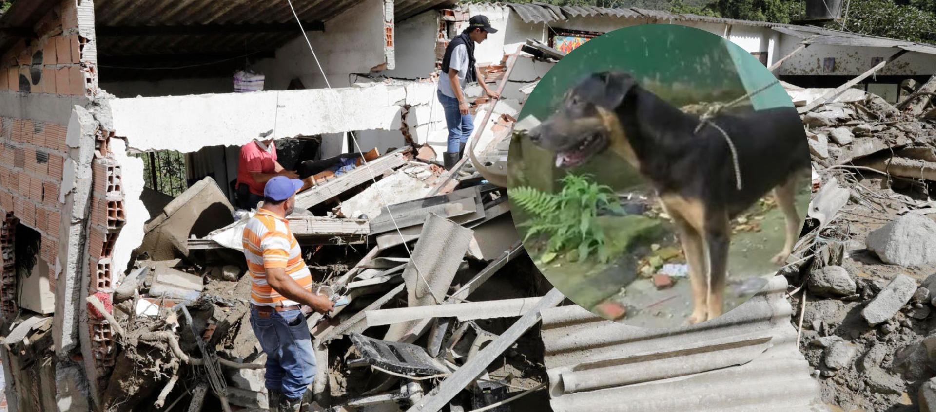 La mascota 'Trostki' salvó a una familia.