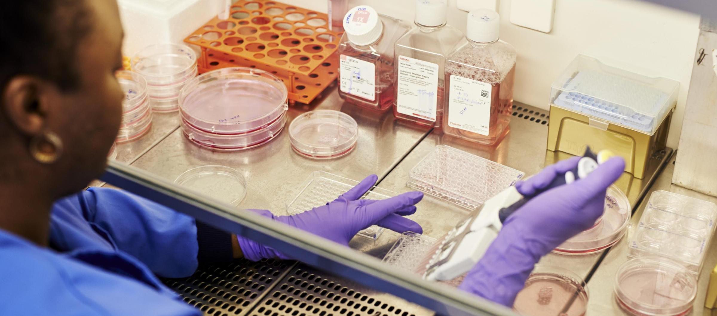 El medicamento fue desarrollado por la farmacéutica japonesa Eisai