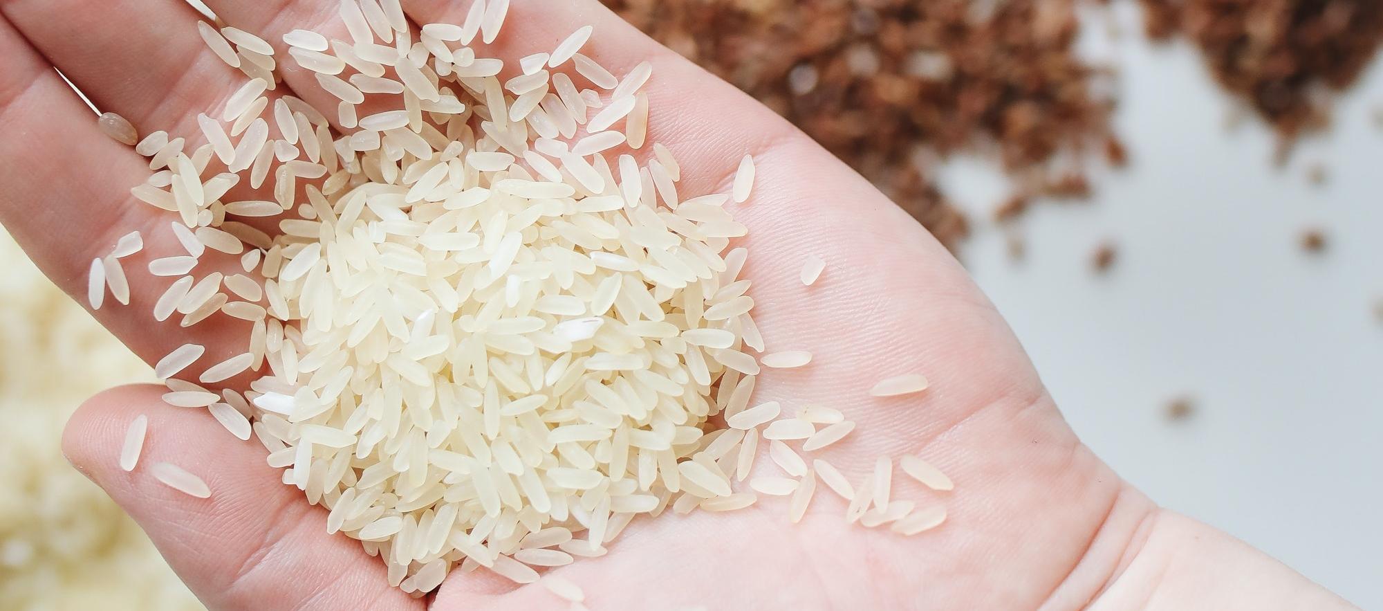 Imagen de referencia.