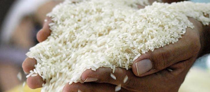 Imagen de referencia