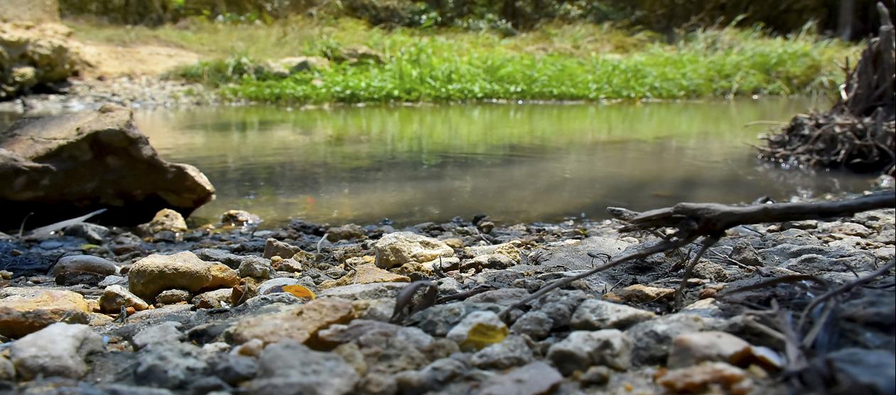 Imagen de referencia.