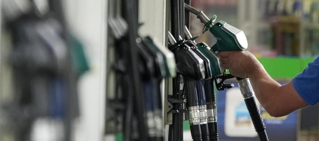 Imagen de referencia.