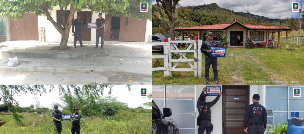 Algunos de los bienes ocupados.