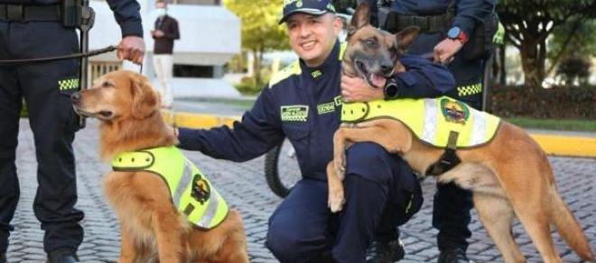 Imagen de referencia.