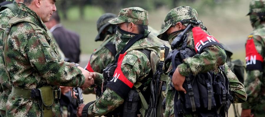 Imagen de referencia.