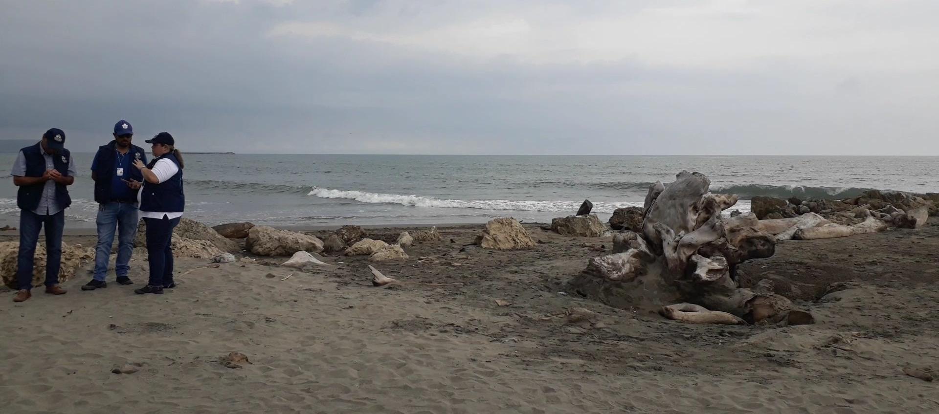 Mar Caribe, en Puerto Colombia. 