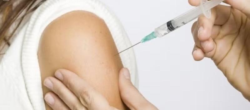 Imagen de referencia.