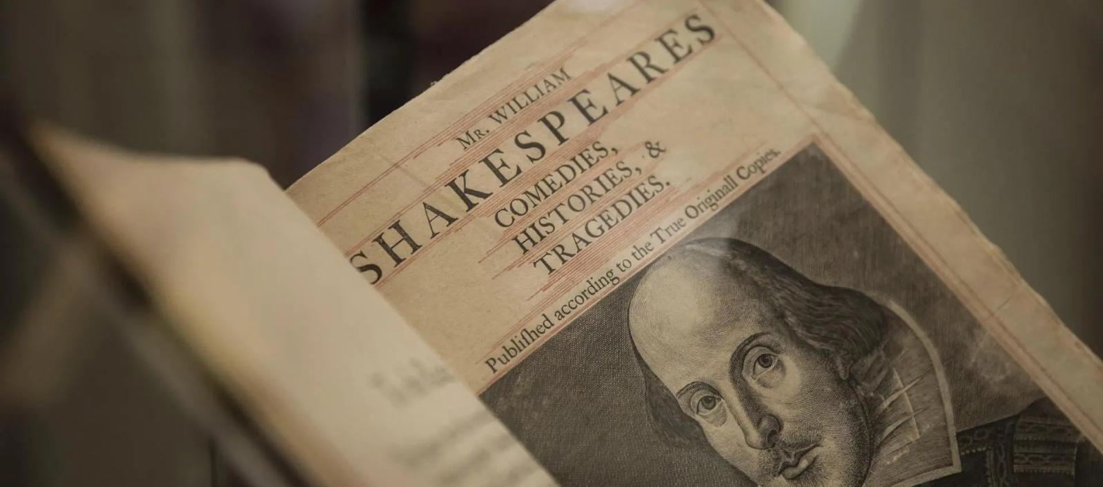 Imagen de referencia.