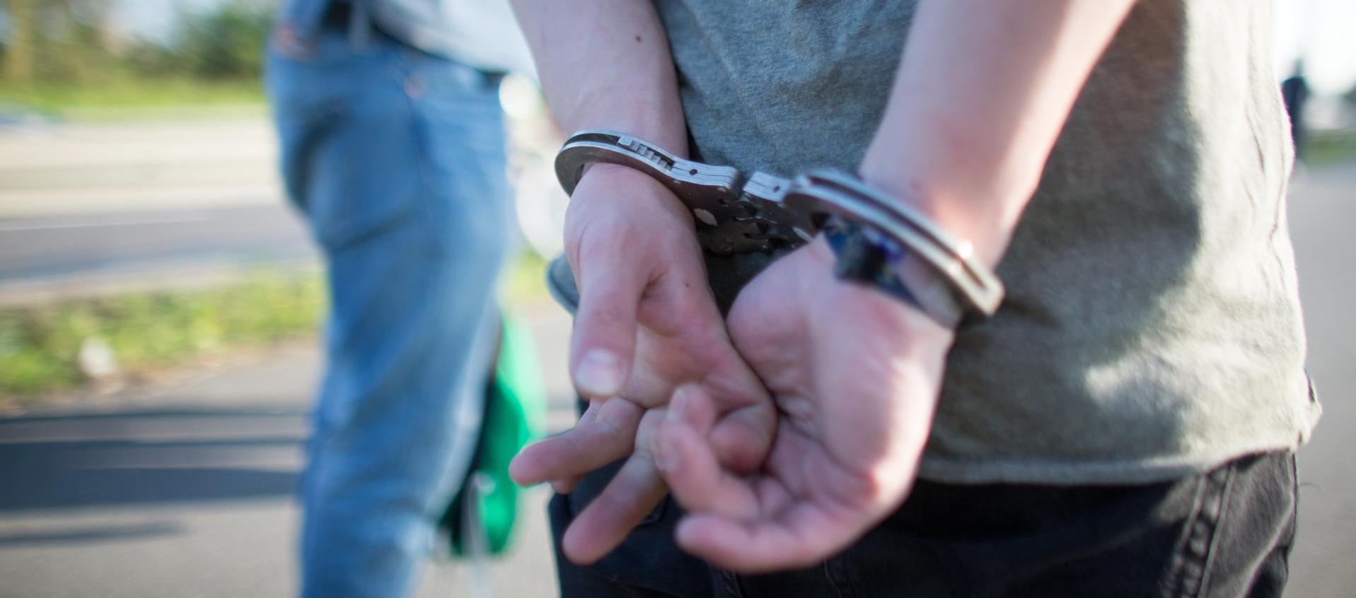 Imagen de referencia.