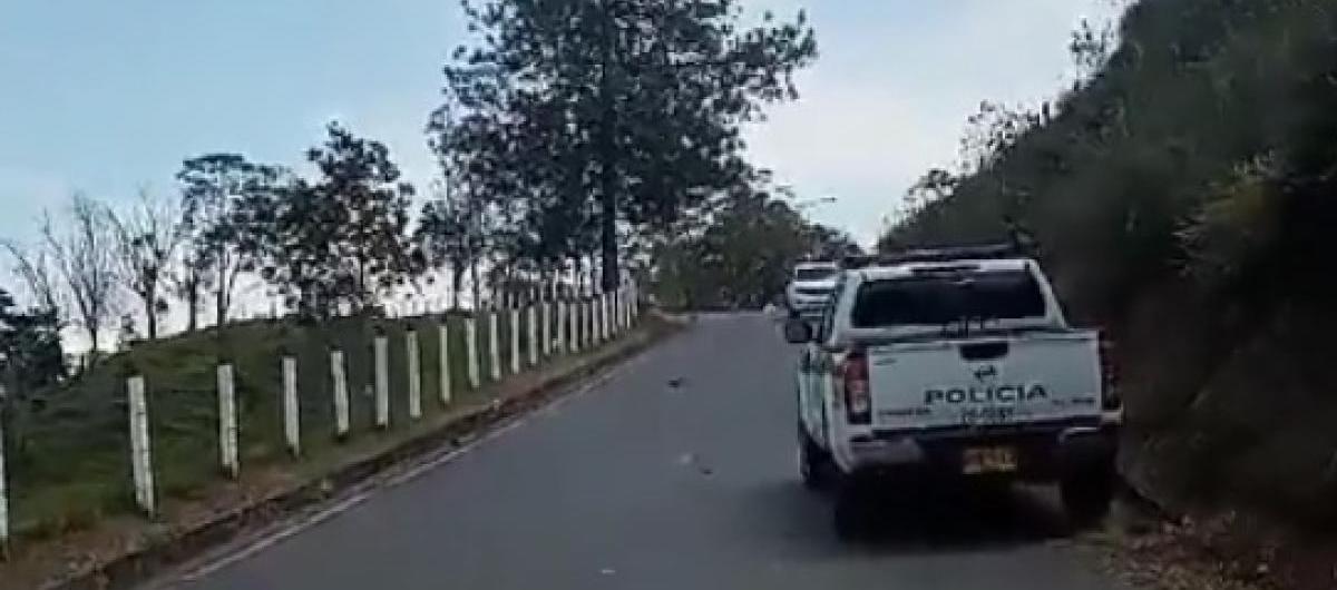 Imagen de referencia.