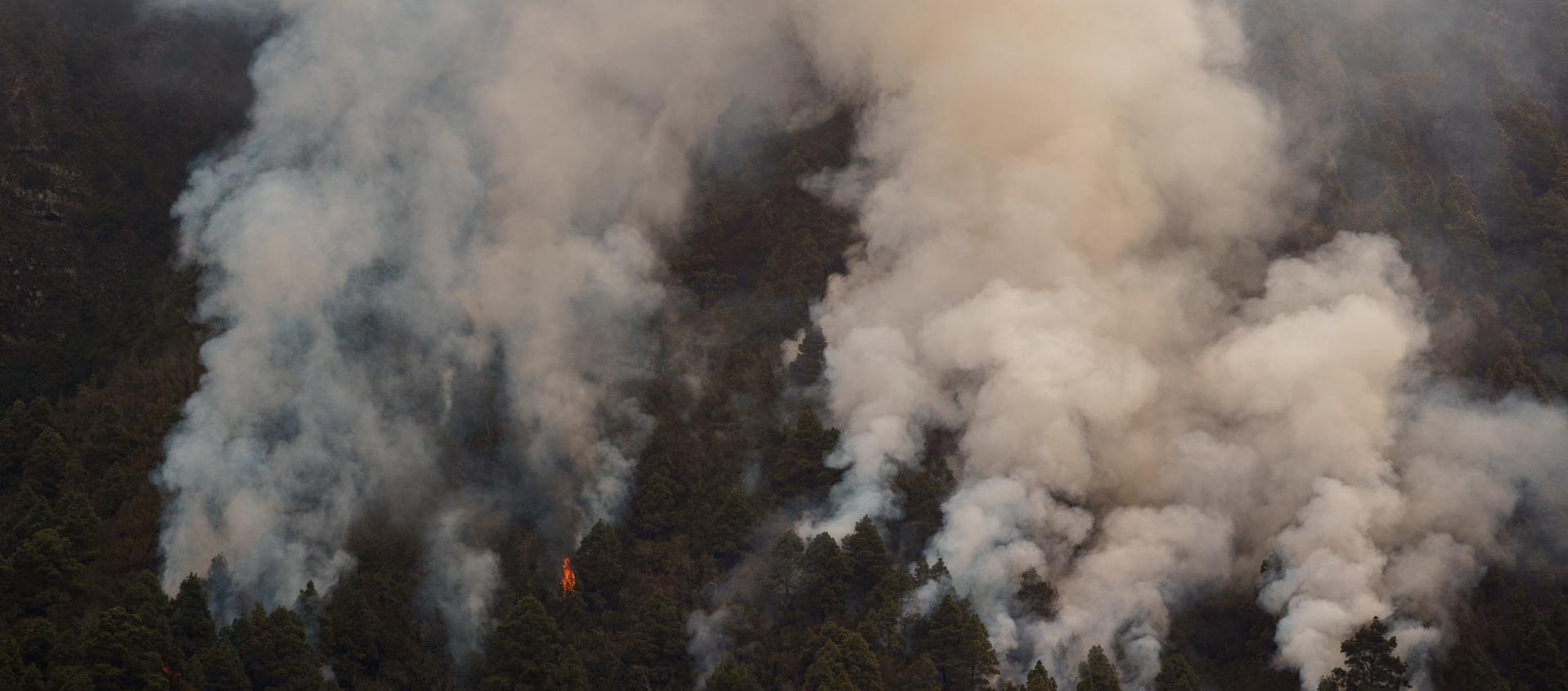Una columna de humo frente al barrio de Pinolere, en el municipio de La Orotava