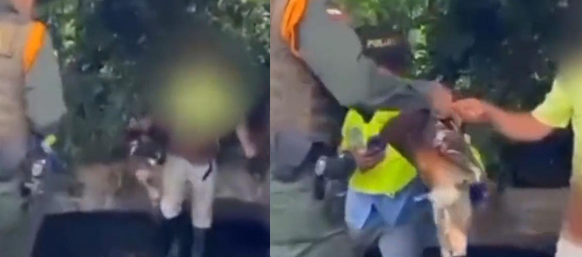 Capturados por el asesinato a puma.