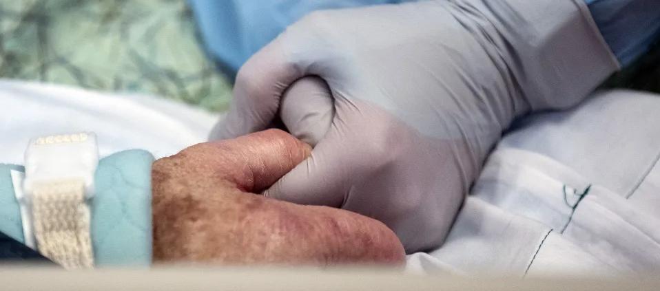 Imagen de referencia.