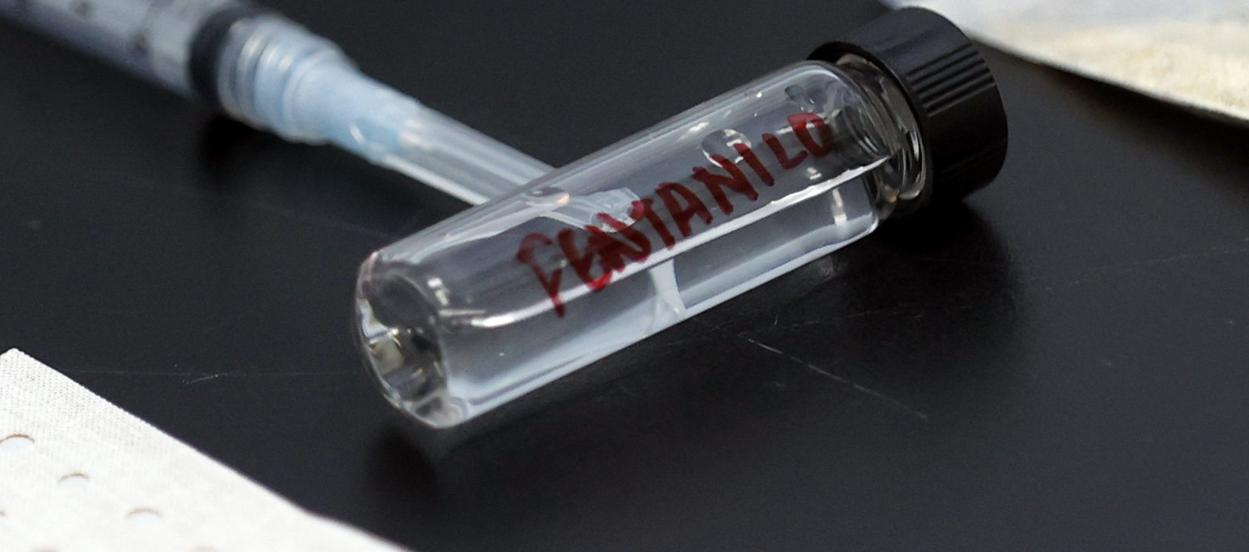 Imagen de referencia.