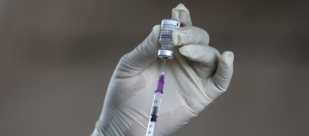 Imagen de referencia.