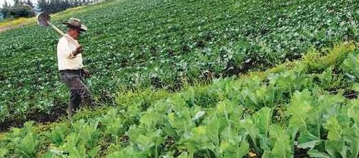 Imagen de referencia.