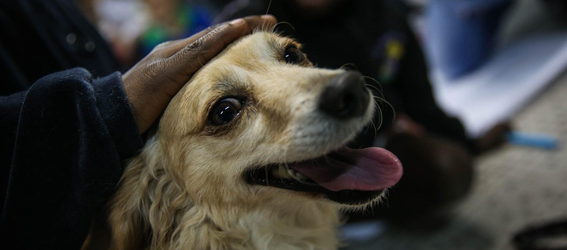 Imagen de referencia.