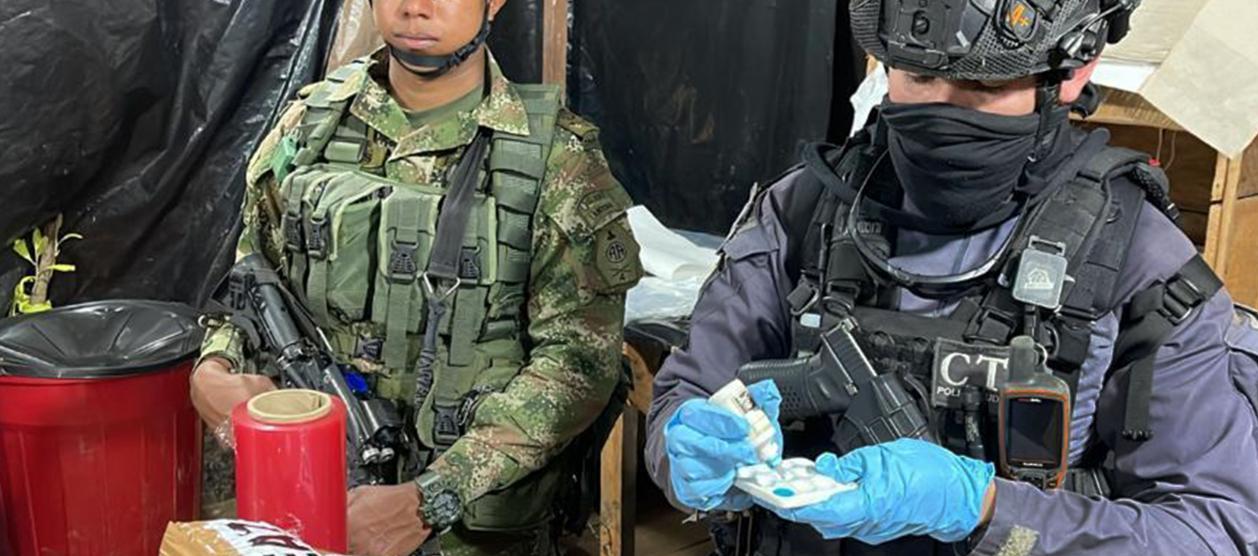 Imagen de referencia.