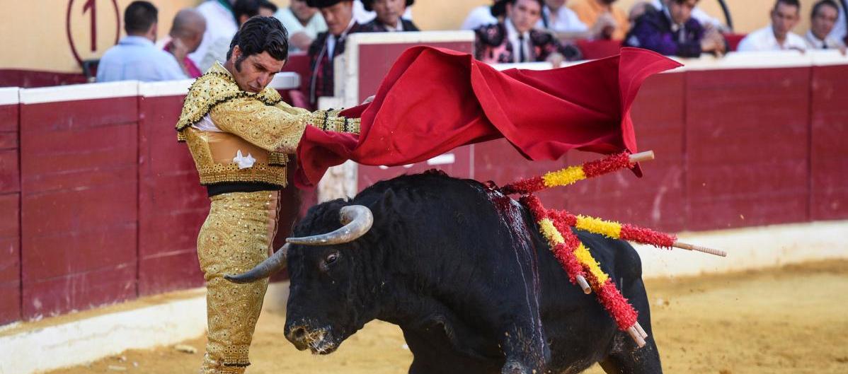 Imagen de referencia.