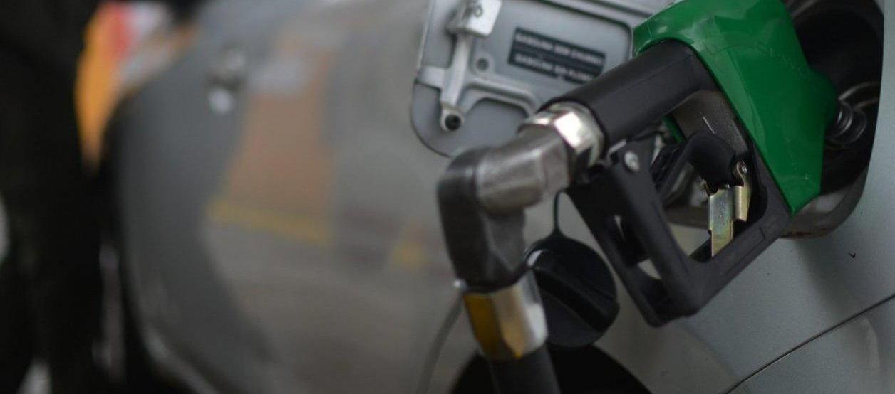 Imagen de referencia.