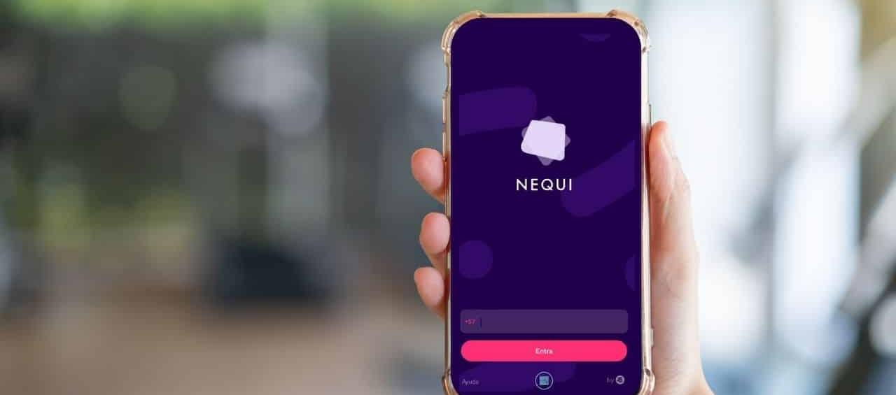 Imagen de referencia.