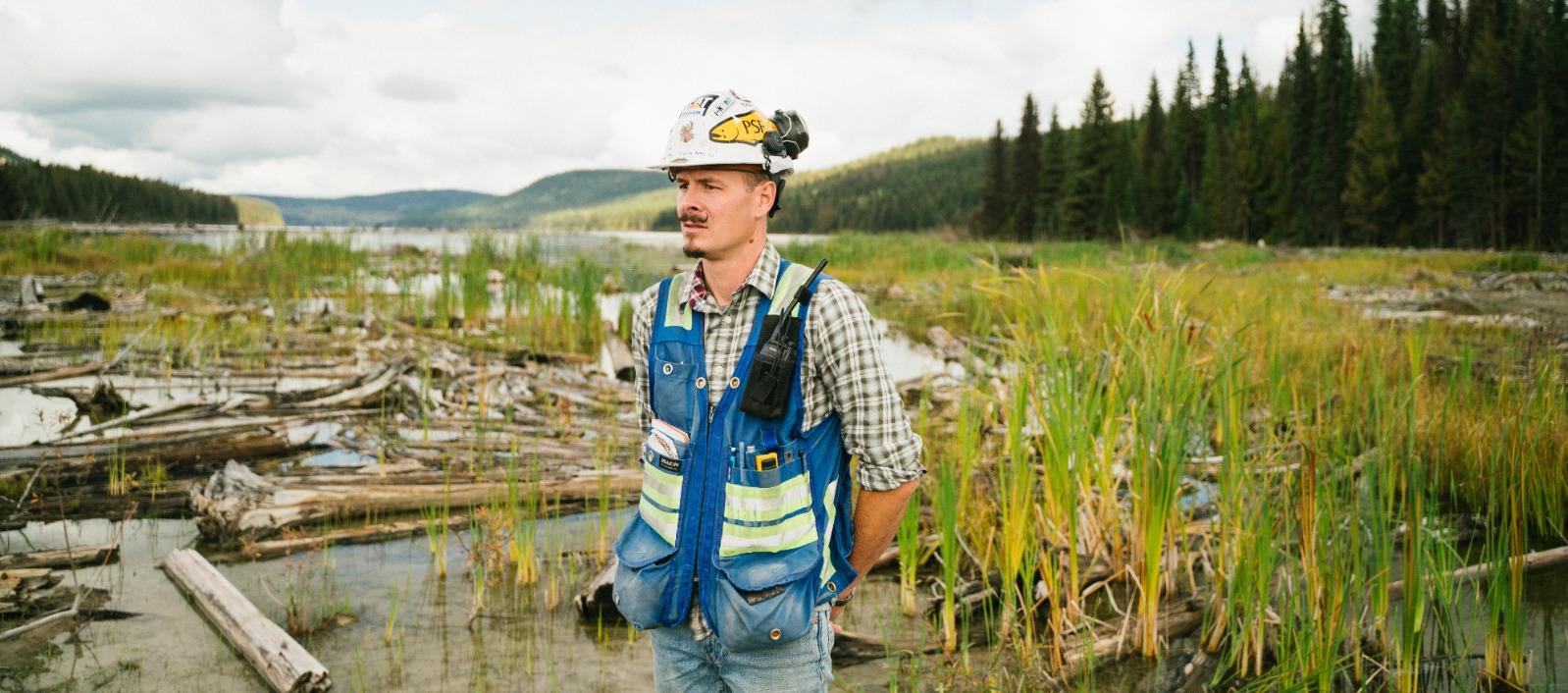 Imagen de referencia.