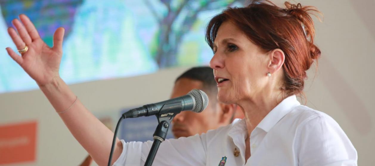 Exgobernadora del Magdalena, Rosa Cotes.