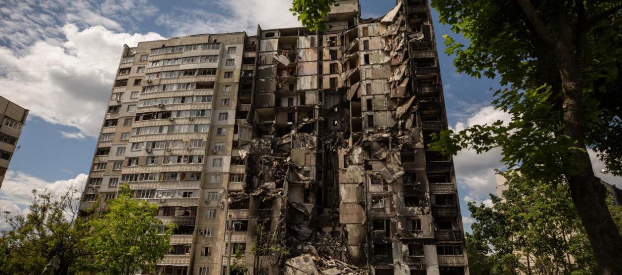 Imagen de referencia.