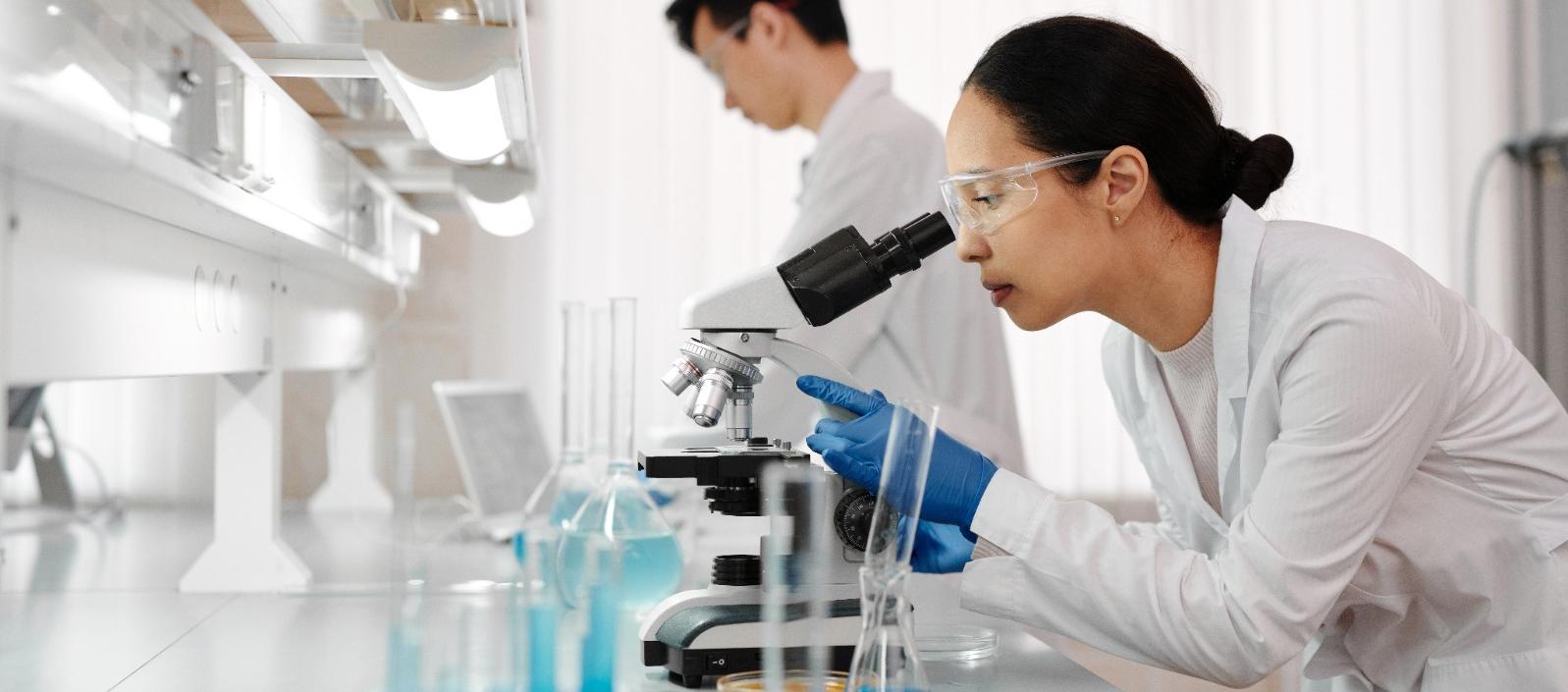 Imagen de referencia.