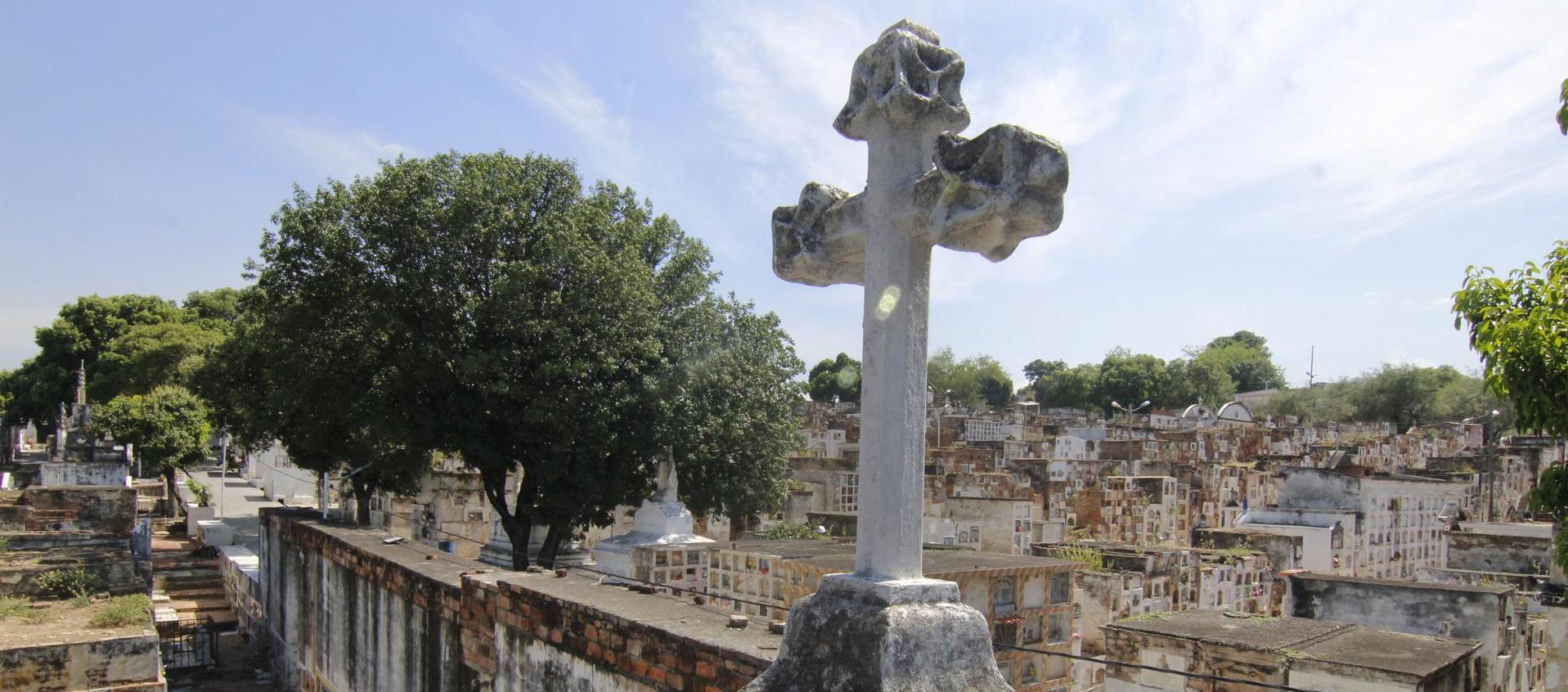 Imagen de referencia.