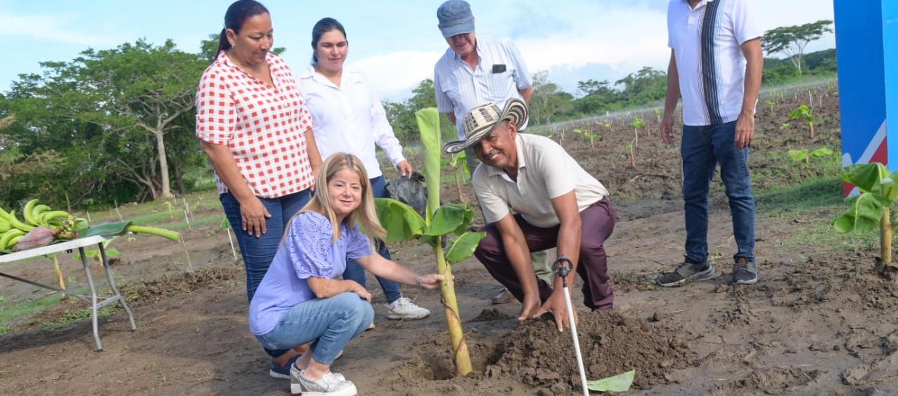 La Gobernadora Elsa Noguera en los campos de Santa Lucía.