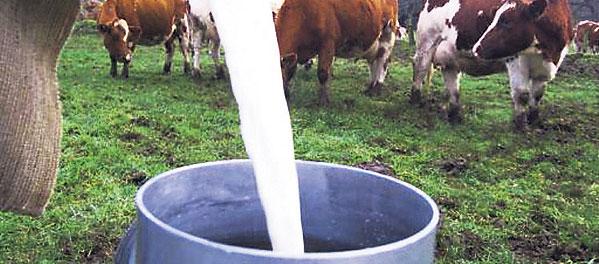 Imagen de referencia.