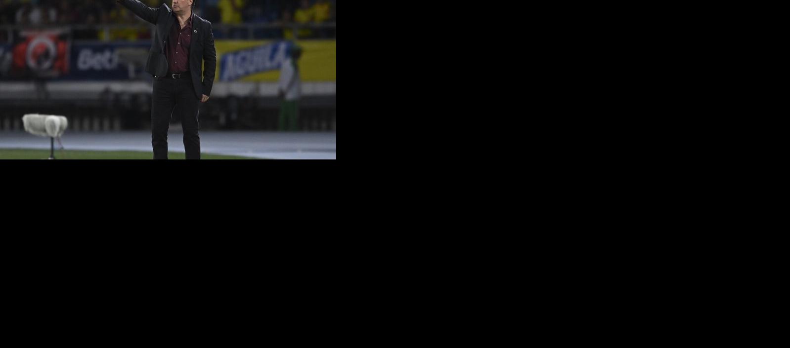 El técnico de la Selección Colombia, Néstor Lorenzo.