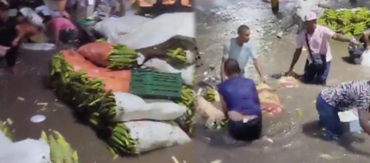 Las mazorcas en la inundación.