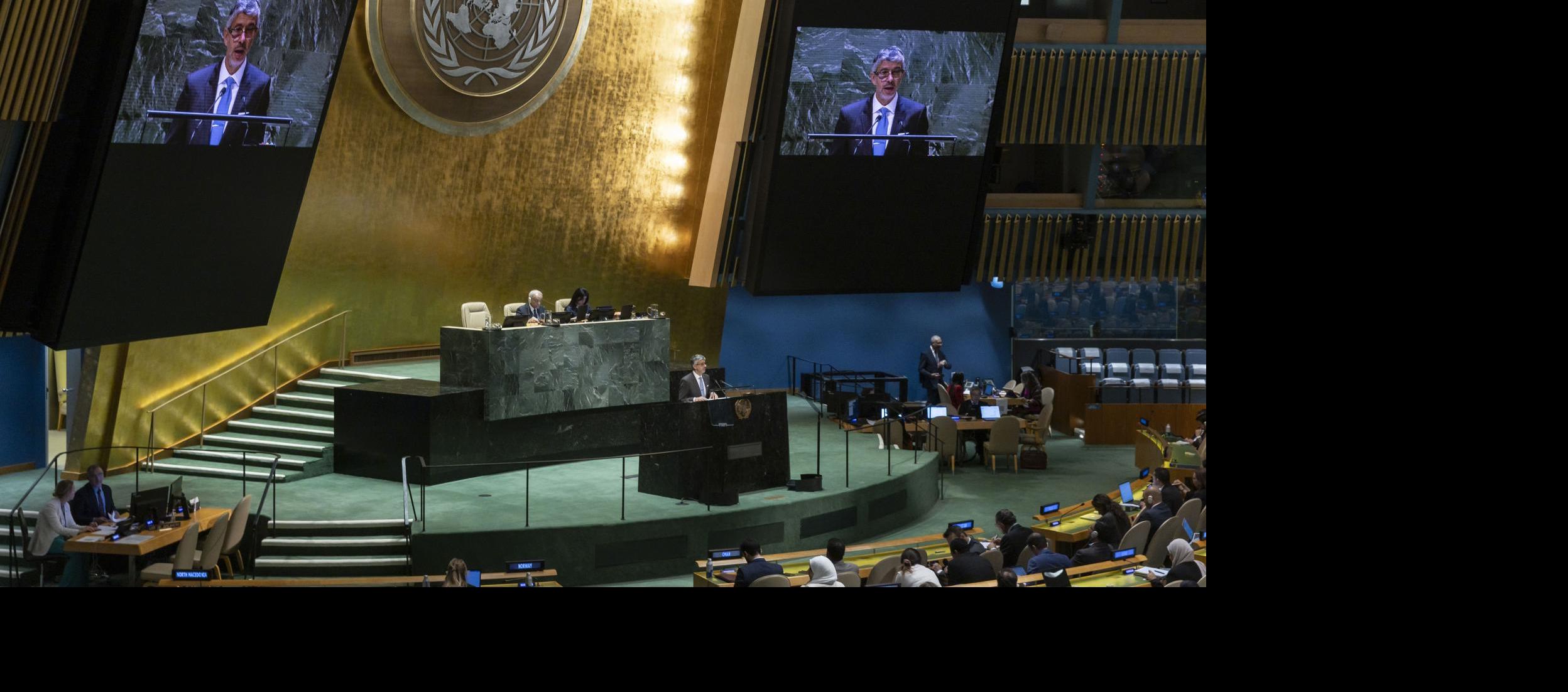 Asamblea de la ONU.