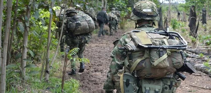 Imagen de referencia.