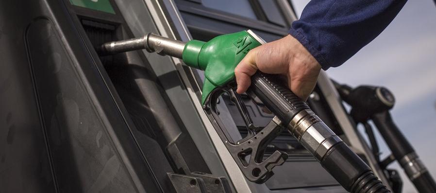 Imagen de referencia.