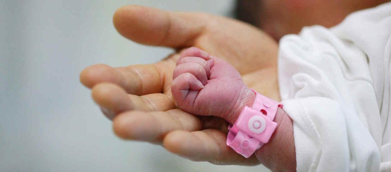 Imagen de referencia.