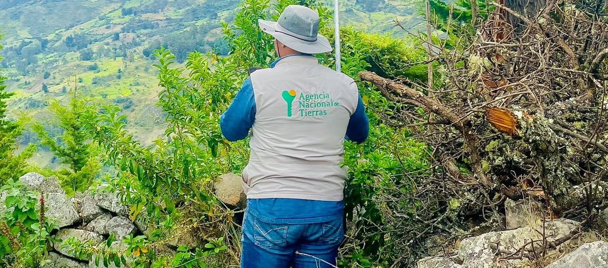 Imagen de referencia.