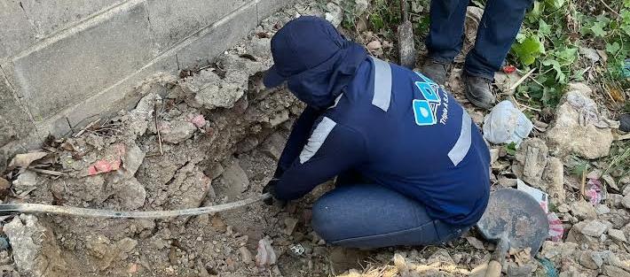 Imagen de referencia.