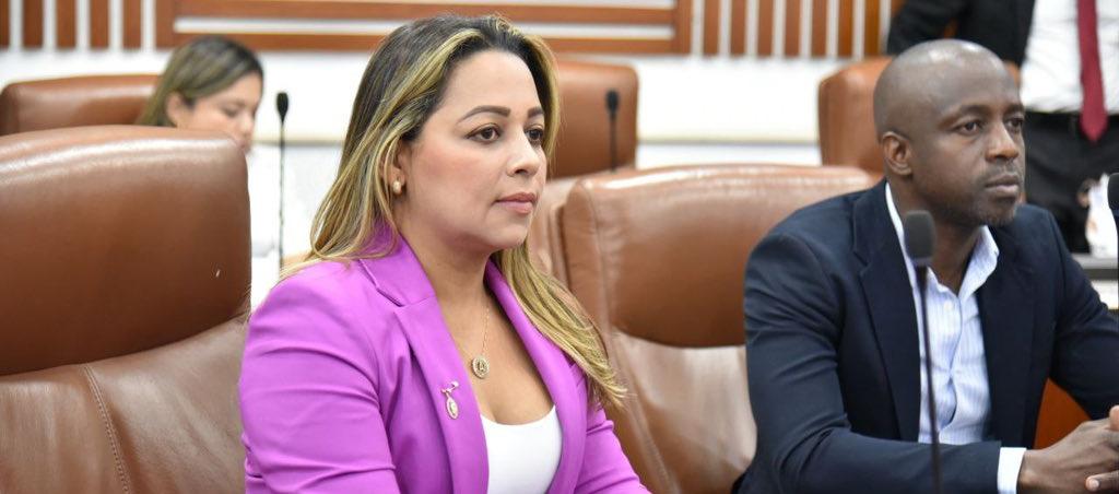 Ana Paola García Soto, Representante a la Cámara 